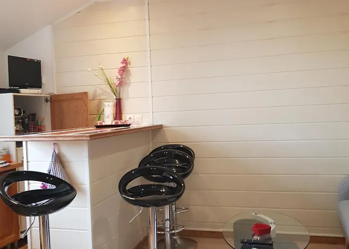 T2 Tres Bien Place A 2mns Des Plages 公寓 比亚里茨